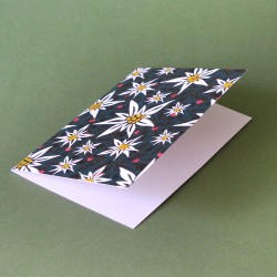 Carte de voeux avec enveloppe au Sommet, edelweiss