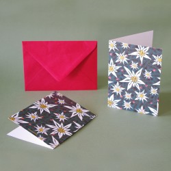 Carte de voeux avec enveloppe au Sommet, edelweiss