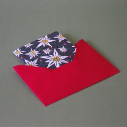 Carte de voeux avec enveloppe au Sommet, edelweiss