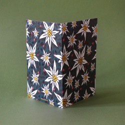 Carte de voeux avec enveloppe au Sommet, edelweiss