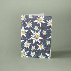 Carte de voeux avec enveloppe au Sommet, edelweiss