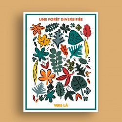 Affiche Une Forêt Diversifiée